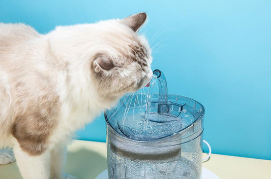 ApolloQuatic™️ Interactive Filtration Fountain for Pets